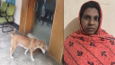 ৮ কুকুর ছানা হত্যা মামলায়, অভিযুক্ত নিশি খাতুন গ্রেপ্তার