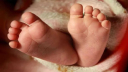 নবজাতকের লাশ টানাটানি করছিল কুকুর, উদ্ধার করল পুলিশ