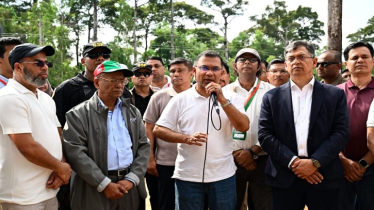 সন্তানের ভবিষ্যতের কথা ভেবে একটি করে গাছ লাগান: প্রধানমন্ত্রী