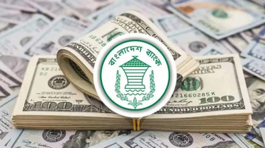 জুলাইয়ের ২৫ দিনে প্রবাসী আয় ২৮ হাজার ৬০ কোটি টাকা