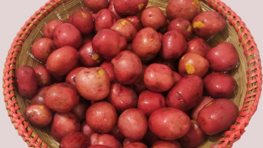লাল আলুর স্বাস্থ্য উপকারিতা