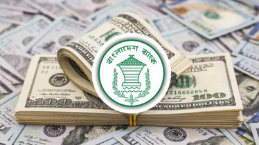 যত টাকা রে‌মিট্যান্স এলো জুলাইয়ের ২৬ দিনে