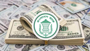 সেপ্টেম্বরের ২৩ দিনে রেমিট্যান্স এলো ২১৬ কোটি ডলার