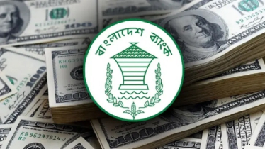 রিজার্ভ বেড়ে ৩০.৮৯ বিলিয়ন ডলার
