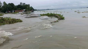 তিন নদীর পানি বিপদসীমার উপরে, ২৪ ঘন্টায় ৭৫ পয়েন্টে পানি বৃদ্ধি 