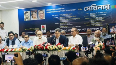 একটি দল জুলাই সনদে স্বাক্ষরের সুযোগ খুঁজছে: সালাহউদ্দিন আহমদ