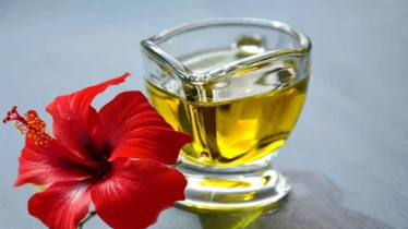বাড়িতেই বানান জবা ফুলের ভেষজ শ্যাম্পু