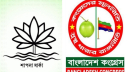 ‘শাপলা’ প্রতীকের আরেক দাবিদারের আবেদন ইসিতে
