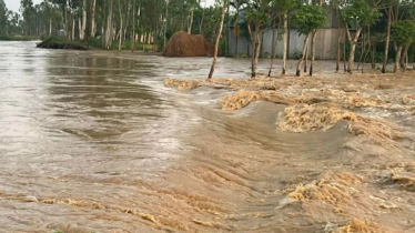 শেরপুরে চেল্লাখালী নদীর বাঁধে ভাঙন, প্লাবিত নিম্নাঞ্চল শেরপুরে চেল্লাখালী নদীর বাঁধে ভাঙন, প্লাবিত নিম্নাঞ্চল