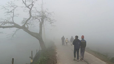 এবার শীতের আয়ু কম, বাড়তে পারে কুয়াশার দাপট