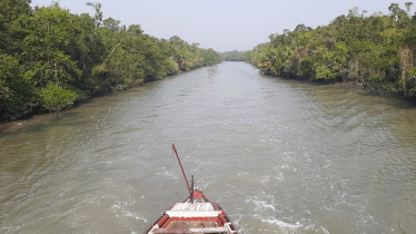 সুন্দরবনে পর্যটক প্রবেশ ও মাছ ধরায় ৩ মাসের নিষেধাজ্ঞা