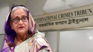 ট্রাইব্যুনালে হাসিনাসহ তিনজনের বিরুদ্ধে চিকিৎসক-সাংবাদিকদের সাক্ষ্য