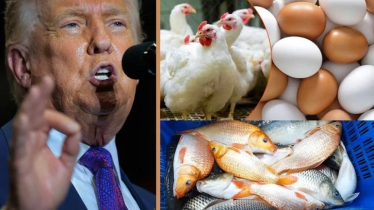 বাংলাদেশি কৃষকের কল্যাণের কথা বললেন ট্রাম্প, চুক্তি কী বলছে