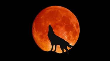 ‘উলফ সুপারমুন’ কী? বিরল এই চমক দেখতে পাবেন আগামীকাল