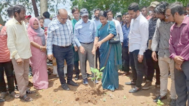শালবনে আবার শাল গাছ ফেরত আনা হবে: উপদেষ্টা রিজওয়ানা হাসান