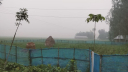 শরতের সকালে কুয়াশার চাদর, শীতের আগমনী বার্তা
