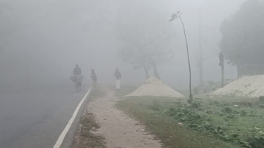 শৈত্যপ্রবাহ শীতে কাঁপছে দেশ, যে বার্তা দিল আবহাওয়া অফিস