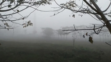 জানুয়ারি মাসজুড়েই থাকবে শীতের দাপট, আজ সর্বনিম্ন তাপমাত্রা রাজশাহীতে