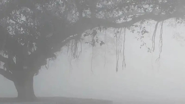 পঞ্চগড়ে বইছে শৈত্যপ্রবাহ, তাপমাত্রা ৭.৭ ডিগ্রি পঞ্চগড়ে বইছে শৈত্যপ্রবাহ, তাপমাত্রা ৭.৭ ডিগ্রি