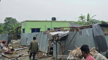হঠাৎ কালবৈশাখী ঝড়ে লন্ডভন্ড আট গ্রাম