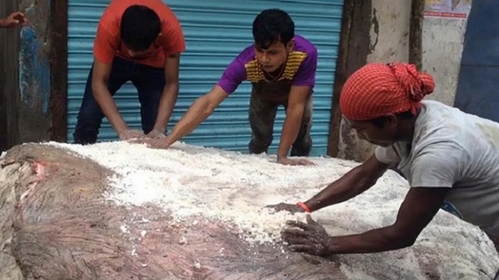 এতিমখানা ও লিল্লাহ বোডিংগুলোতে রেকর্ড পরিমাণ চামড়া সংরক্ষণ এতিমখানা ও লিল্লাহ বোডিংগুলোতে রেকর্ড পরিমাণ চামড়া সংরক্ষণ