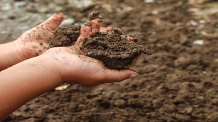 দেশে মাটিতে সিসা ৭০ হাজার পিপিএম, মানদণ্ডের ৩৫০ গুণ