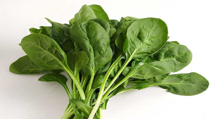 শীতে রোগ মোকাবিলায় খেতে পারেন পালংশাক