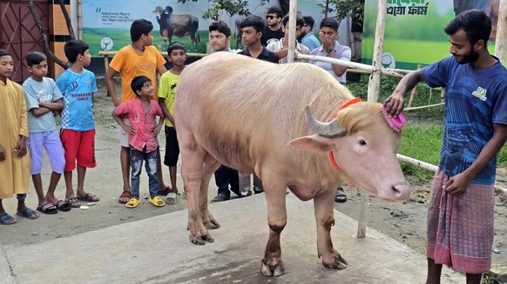 ‘ডোনাল্ড ট্রাম্প’ বিক্রি হলো প্রায় ৪ লাখ টাকায়