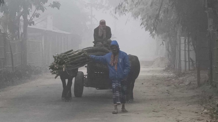 পঞ্চগড়ে শীতের দাপট, তেঁতুলিয়ায় সর্বনিম্ন তাপমাত্রার রেকর্ড