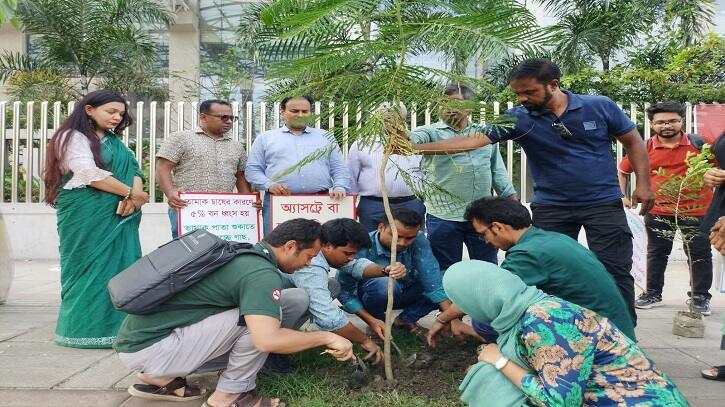 পাবলিক প্লেসে ধূমপানের স্থান নয়, গাছ থাকা জরুরি পাবলিক প্লেসে ধূমপানের স্থান নয়, গাছ থাকা জরুরি