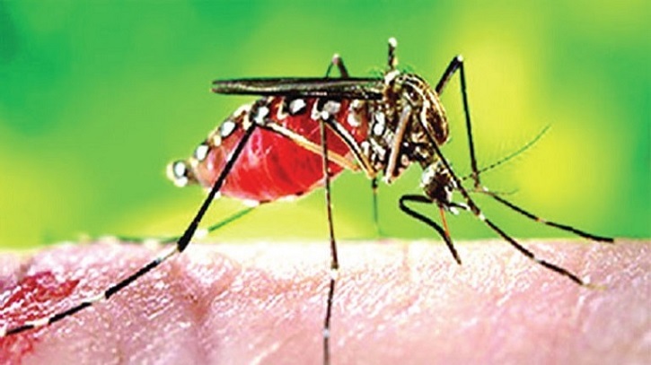 ডেঙ্গু কেড়ে নিল আরো ৬ প্রাণ