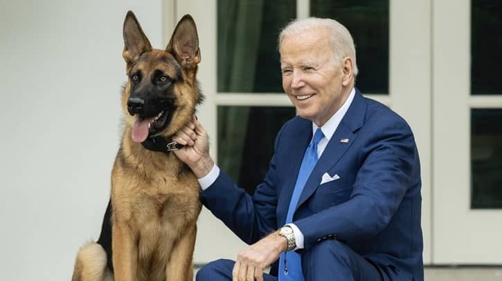নিরাপত্তী রক্ষীকে ফের কামড়ে দিল বাইডেনের কুকুর