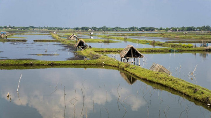 চিংড়ির ঘের দখল নিয়ে গোলাগুলি, নিহত ১ চিংড়ির ঘের দখল নিয়ে গোলাগুলি, নিহত ১