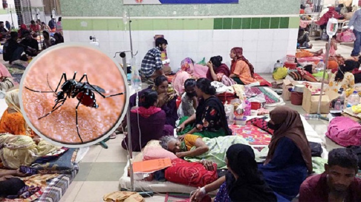 ডেঙ্গুতে গত ২৪ ঘণ্টায় চার জনের মৃত্যু, হাসপাতালে ১১০১