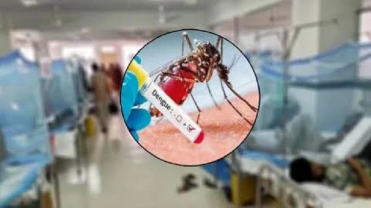 ২৪ ঘণ্টায় ডেঙ্গু কেড়ে নিল ৬ প্রাণ, মৃত্যু ২০০ ছাড়াল