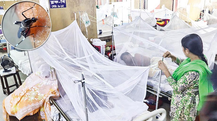 ডেঙ্গুতে ৫ জনের মৃত্যু, হাসপাতালে ভর্তি ৩১১ ডেঙ্গুতে ৫ জনের মৃত্যু, হাসপাতালে ভর্তি ৩১১
