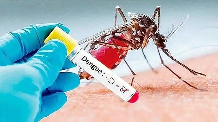 ডেঙ্গুতে এক দিনে হাসপাতালে ৮৪৫ জন ভর্তি, আরও চার মৃত্যু