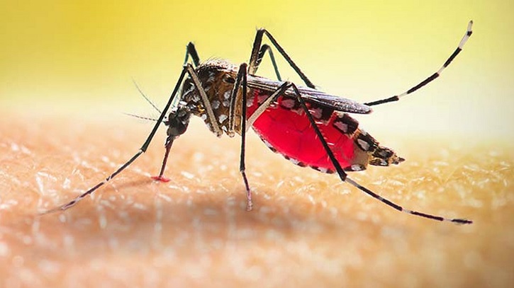 ডেঙ্গুতে আরও ৫ জনের মৃত্যু