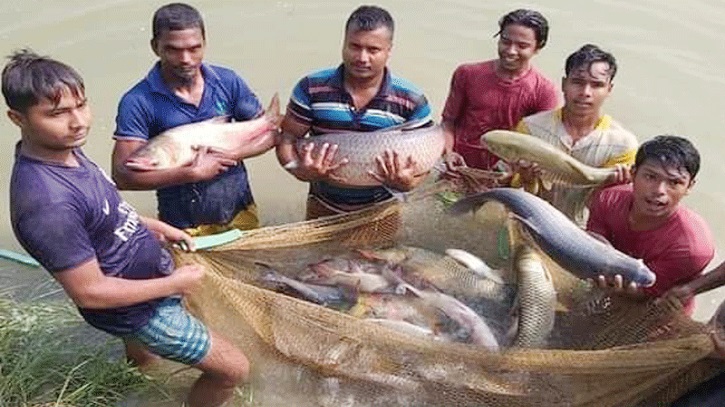 ১২০০০ কোটি টাকার মাছ উৎপাদন করে ময়মনসিংহ