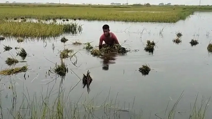 ঘণ্টায় ঘণ্টায় বাড়ছে পানি, দুই নদীর পানি বিপৎসীমার ওপরে