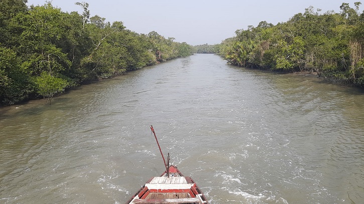 সুন্দরবনে পর্যটক প্রবেশ ও মাছ ধরায় ৩ মাসের নিষেধাজ্ঞা সুন্দরবনে পর্যটক প্রবেশ ও মাছ ধরায় ৩ মাসের নিষেধাজ্ঞা