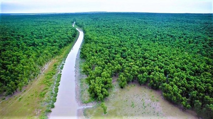 সুন্দরবনে প্রাণ-প্রকৃতি রক্ষায় ড্রোনের ব্যবহারে মিলছে সুফল সুন্দরবনে প্রাণ-প্রকৃতি রক্ষায় ড্রোনের ব্যবহারে মিলছে সুফল