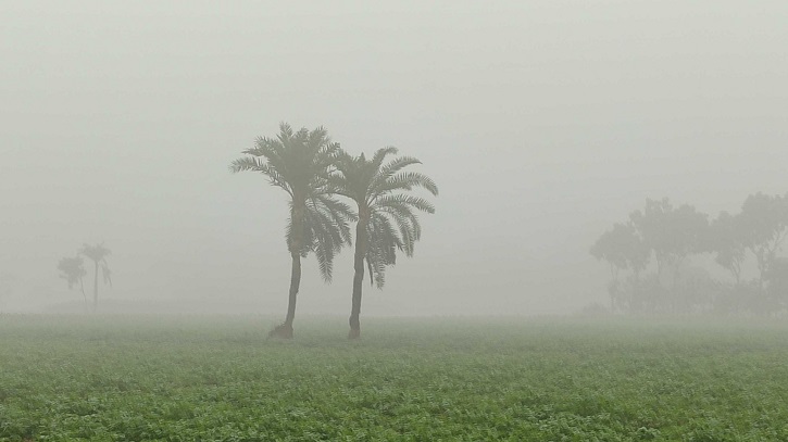 চুয়াডাঙ্গায় তীব্র শীতে বিপর্যস্ত জনজীবন