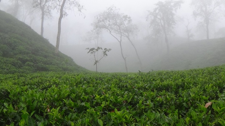 দেশের সর্বনিম্ন তাপমাত্রা শ্রীমঙ্গলে